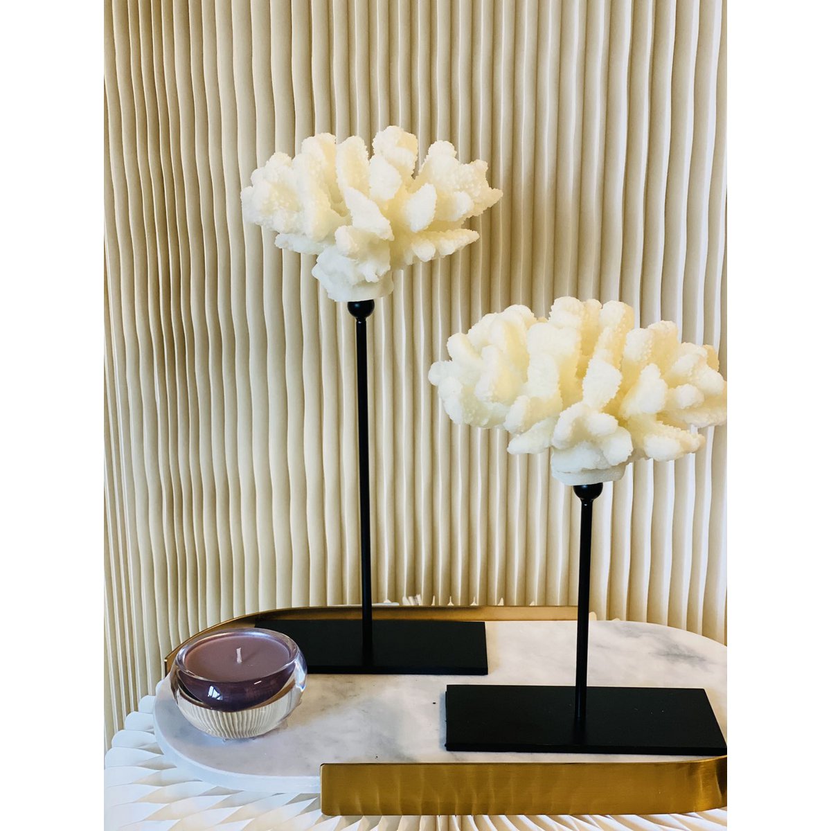 Koraalcollectie met metalen standaard