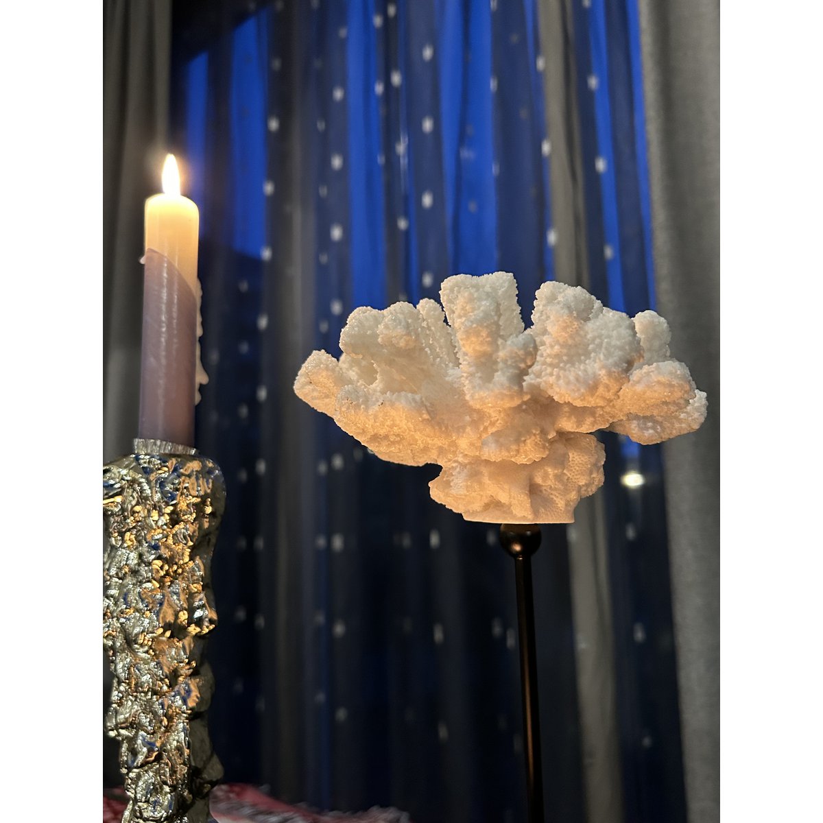 Koraalcollectie met metalen standaard