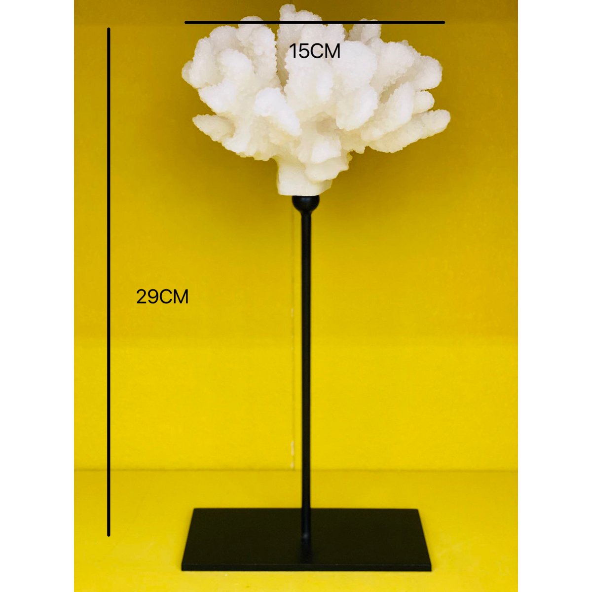 Koraalcollectie met metalen standaard
