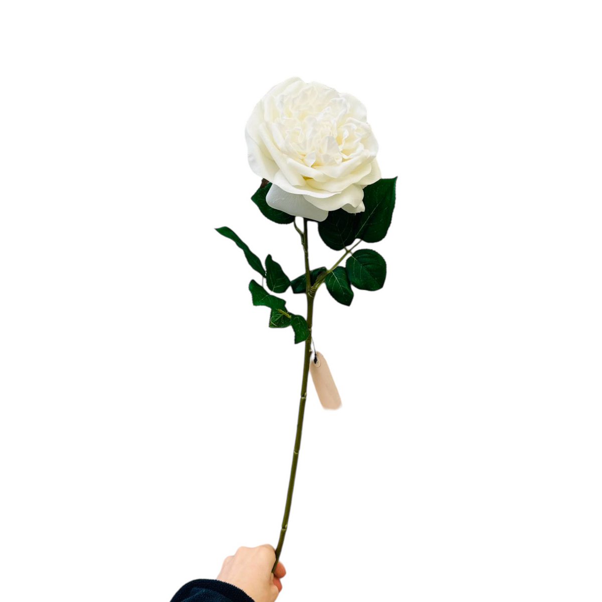 QMF Hand Touch Roos 65cm