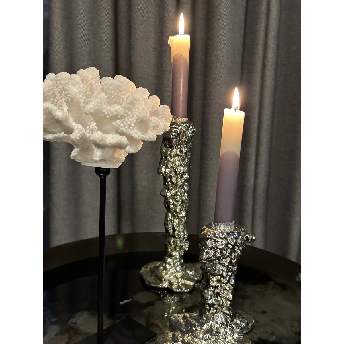 Koraalcollectie met metalen standaard