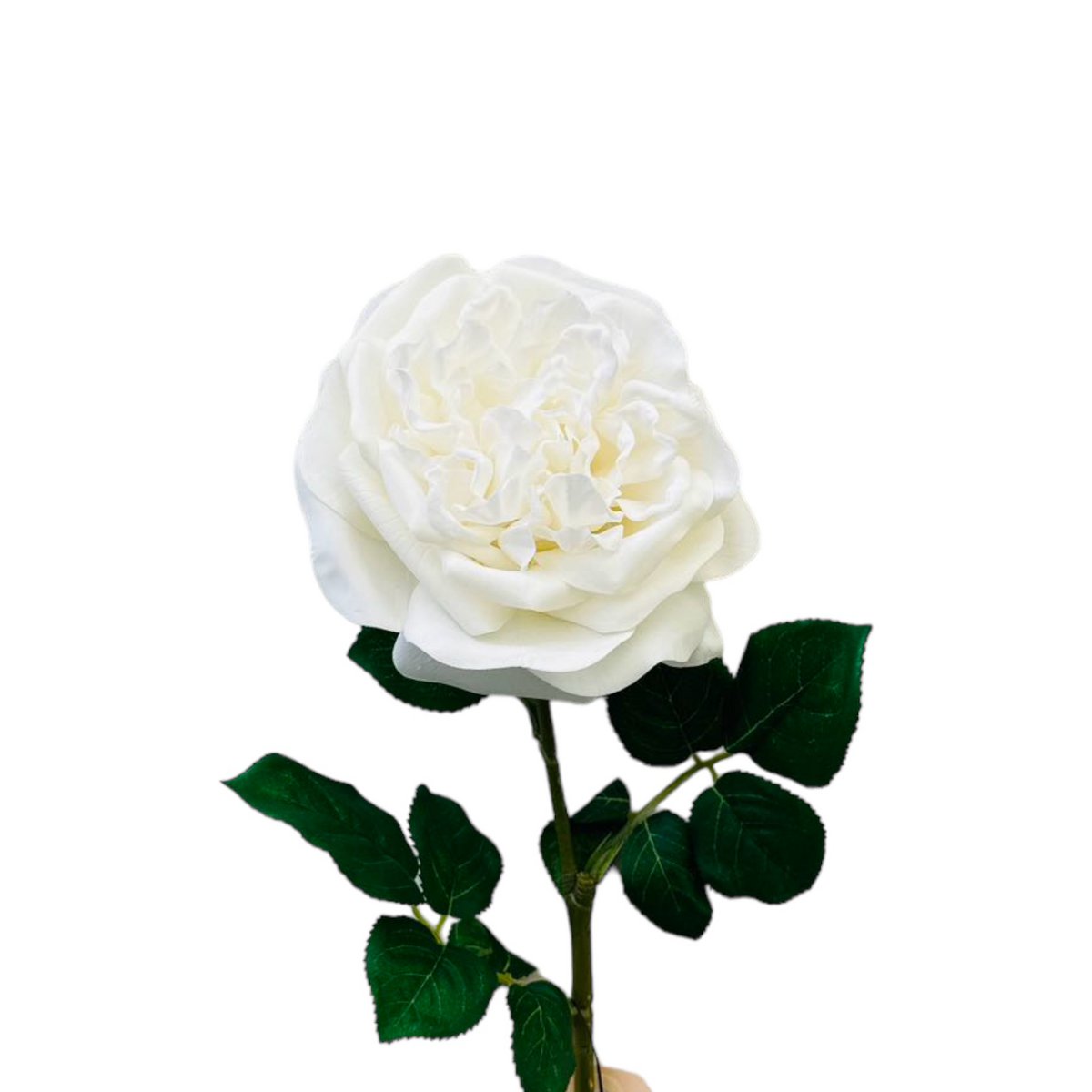 QMF Hand Touch Roos 65cm